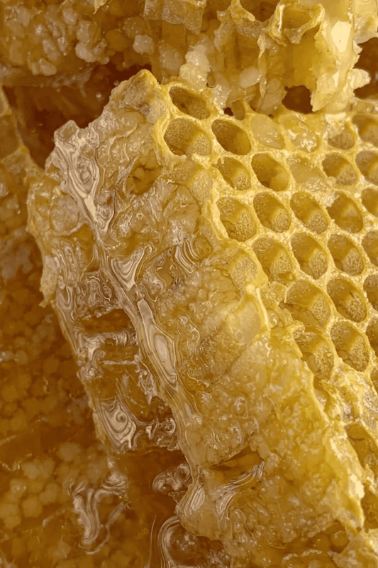 Quels sont les bienfaits du miel sur la peau ?