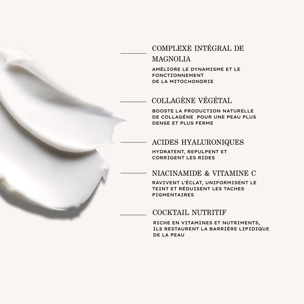 Crème Riche Jeunesse