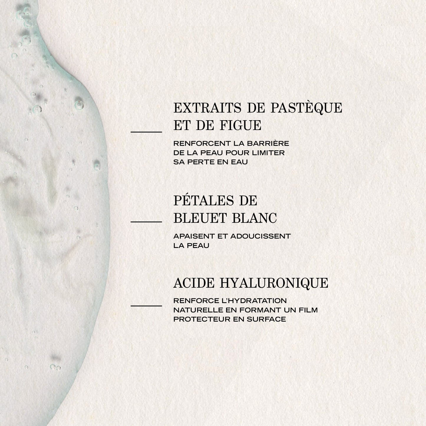 Infusion Hydratante Repulpante FR