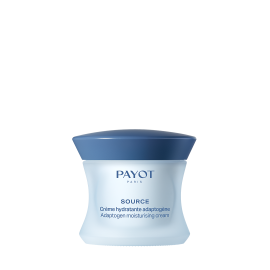 Stick Gommant Purifiant