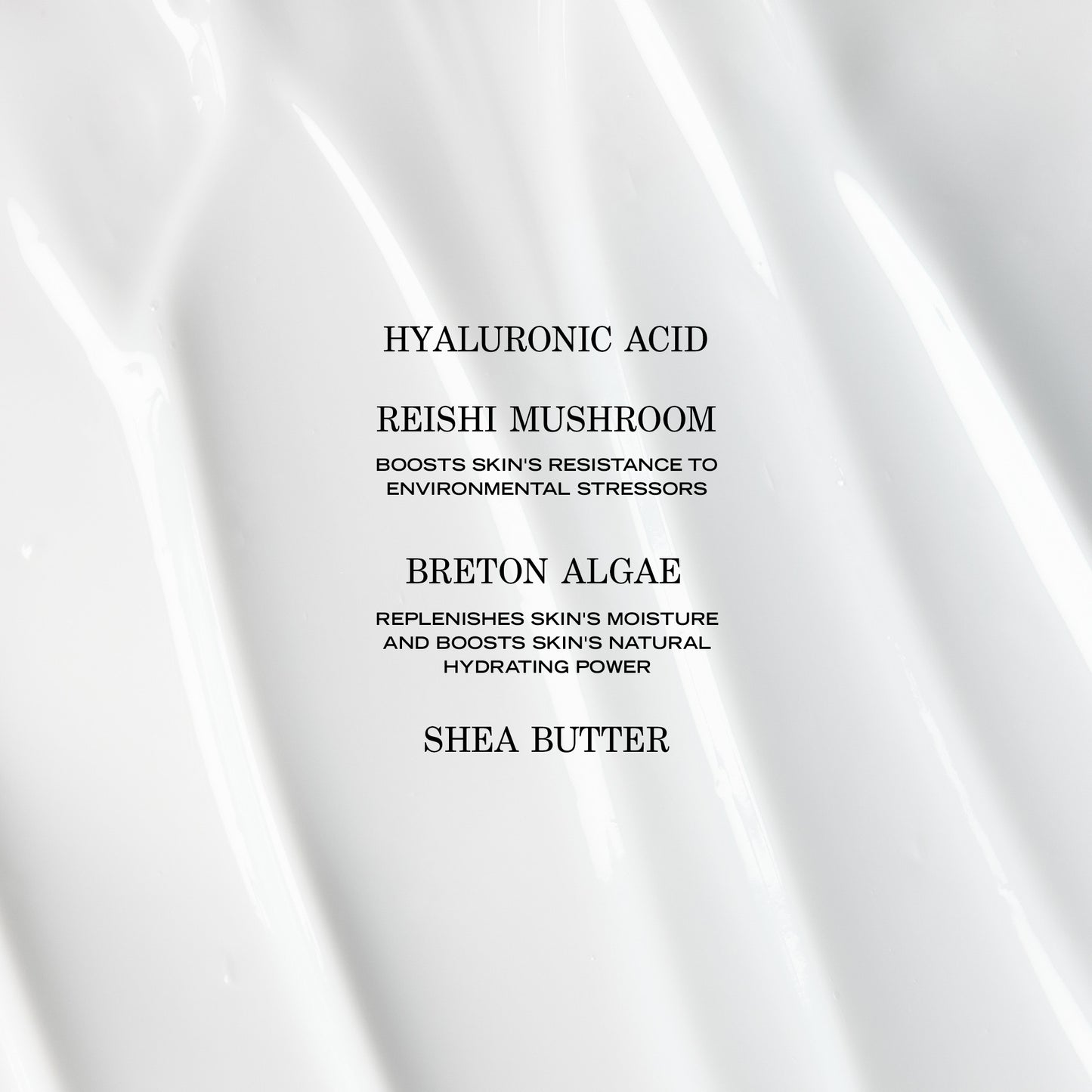Crème Adaptogène Hydratante EN