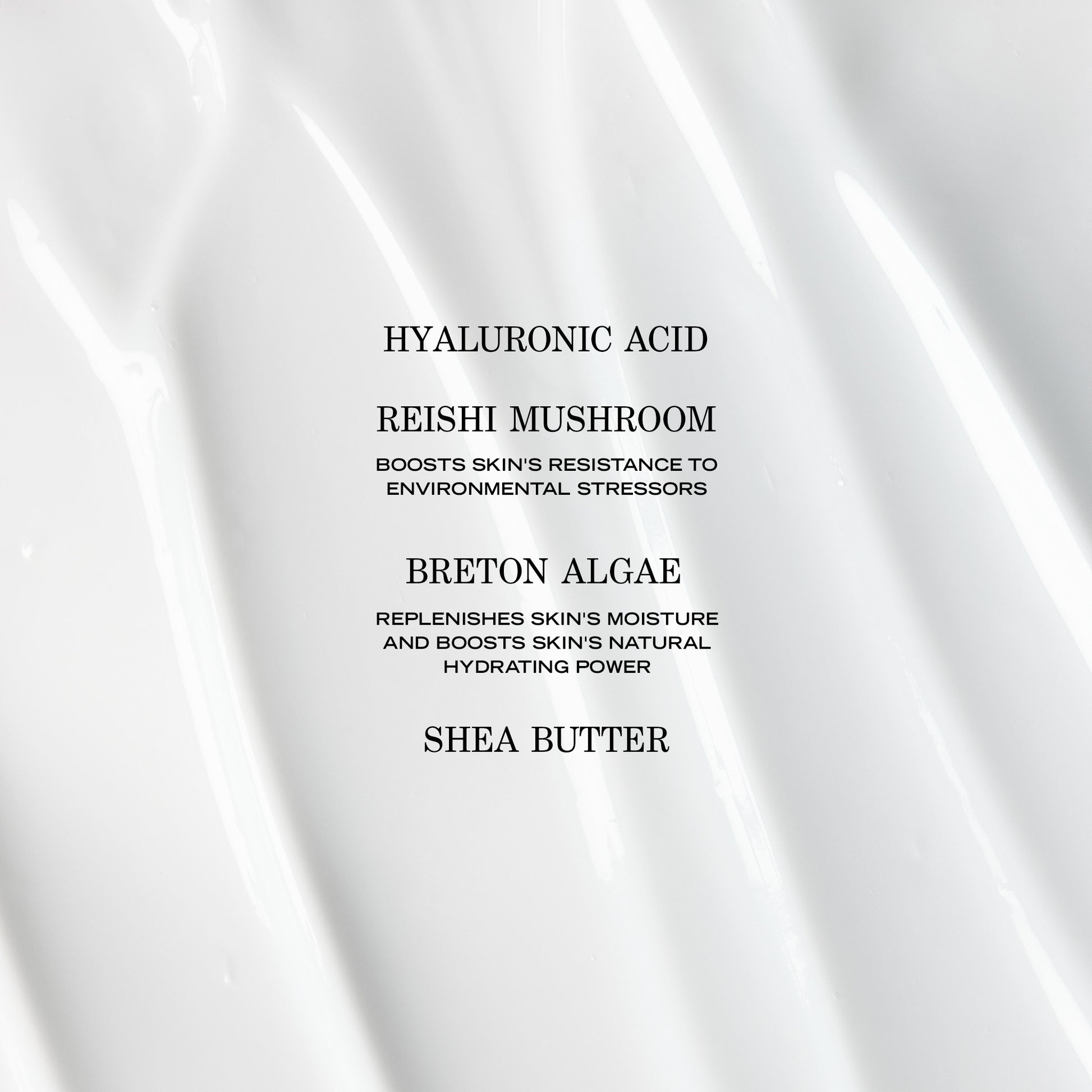 Crème Adaptogène Hydratante EN