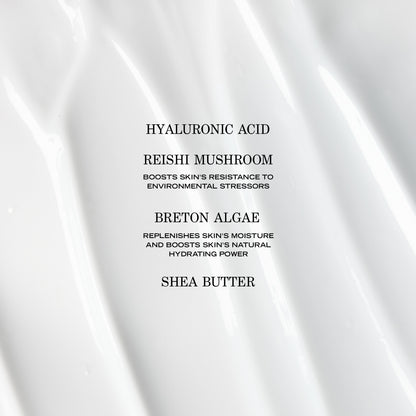 Crème Adaptogène Hydratante EN