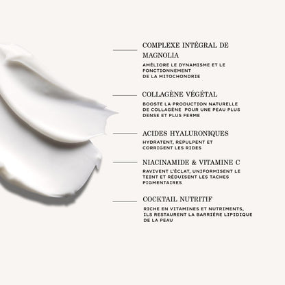 Crème Riche Jeunesse