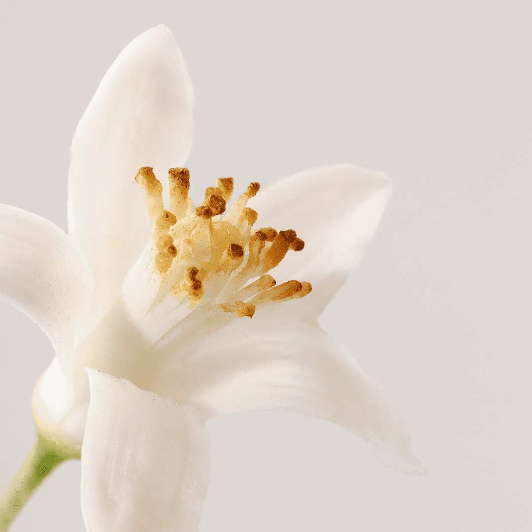 Eau de soin Corps Parfumée