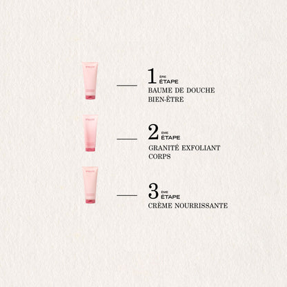 Granité exfoliant corps FR