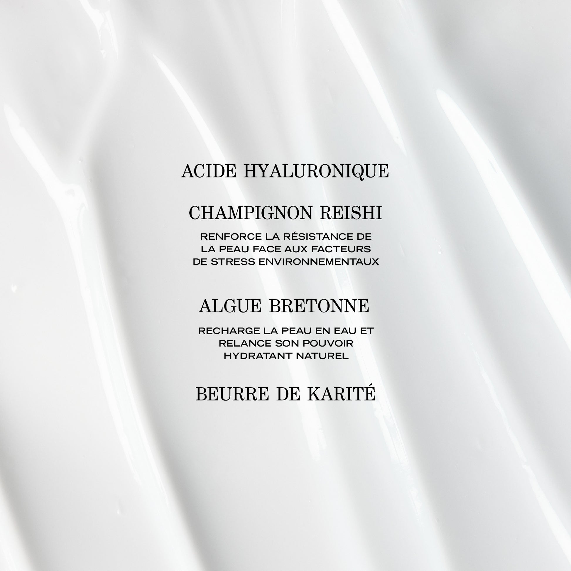 Crème Hydratante Adaptogène FR
