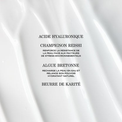 Crème Hydratante Adaptogène FR